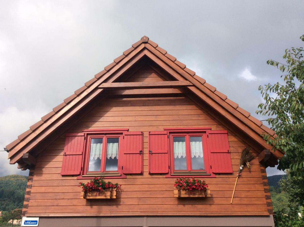 Chalet Colline Et Lou Винцфельдан Экстерьер фото